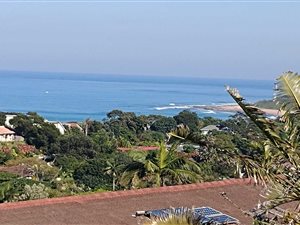 4 Bed House in Zinkwazi Beach