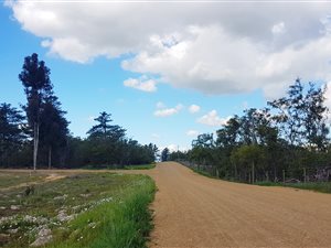 21 ha Farm in Cape Farms