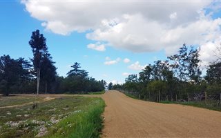 21 ha Farm in Cape Farms