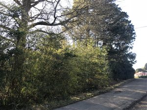 3305 m² Land available in Nottingham Road