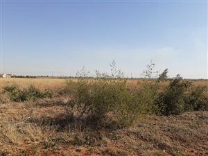 2049 m² Land available in Henley on Klip