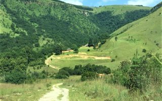50.5 ha Farm in Badplaas