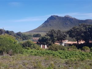 660 m² Land available in Pringle Bay