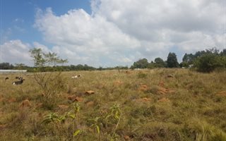 4.3 ha Land available in Bashewa
