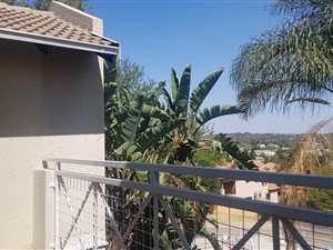 3 Bed Apartment in Sterrewag