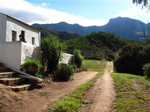 86 ha Farm in Robertson