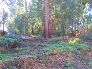 816 m² Land available in Dullstroom