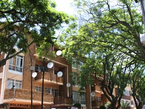1 Bedroom Apartment in Bellevue