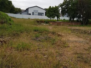 3900 m² Land available in Edenburg