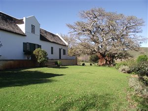 625 ha Farm in Robertson