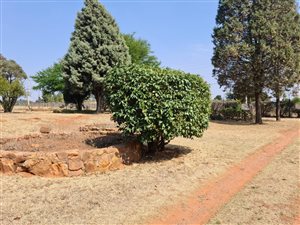 1.7 ha Farm in Bootha AH