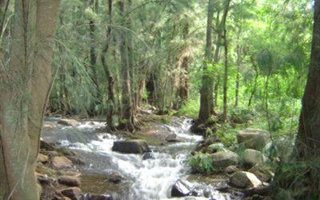 6.5 ha Farm in Waterval Boven