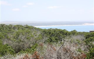 8.6 ha Land available in Vlees Bay