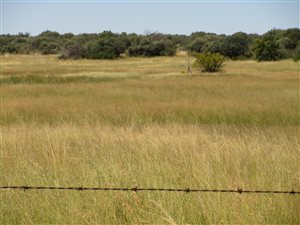 1570 ha Farm in Reivilo