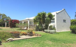 3 Bedroom House in Napier