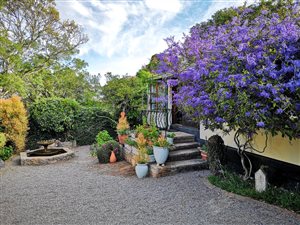 5 Bed House in Bathurst and Surrounds