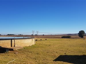 144 ha Farm in Krugersdorp Central