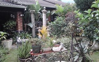 2 Bedroom Townhouse in Montrose