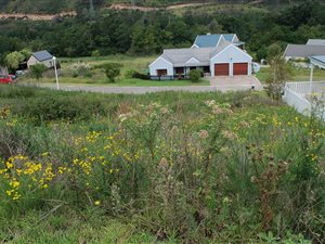 688 m² Land available in Green Pastures