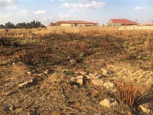 1000 m² Land available in Cultura Park