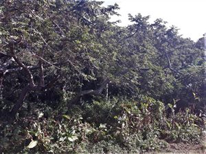 1766 m² Land available in Marburg