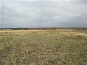 4 ha Farm in Ironsyde