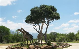 3000 m² Land available in Blyde Wildlife Estate