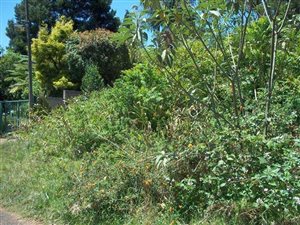 1115 m² Land available in Graskop