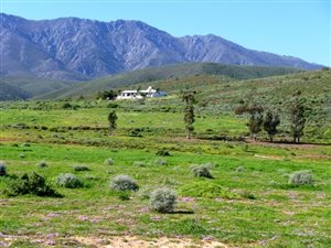 42 ha Farm in Robertson
