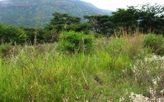 1883 m² Land available in Ohrigstad