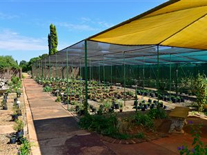 4 ha Farm in Randfontein Central