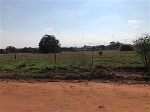 1000 m² Farm in Winterveldt