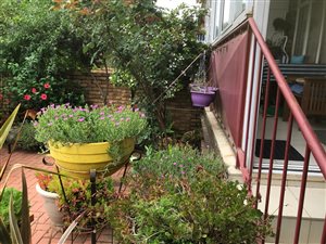 2 Bed Flat in Vanderbijlpark CW2