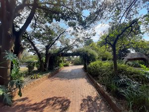 1.2 ha Farm in Rand Collieries