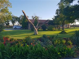 42.8 ha Farm in Bloemfontein Farms