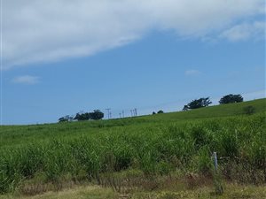 2.6 ha Farm in Ballito