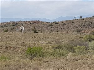 231 ha Farm in Ladismith