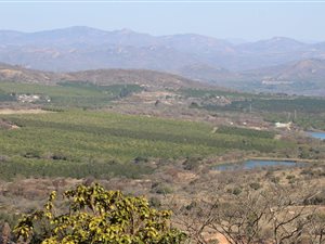 4.6 ha Land available in White River AH