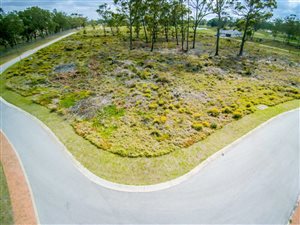 631 m² Land available in Wedgewood Golf Estate