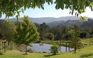 8.8 ha Farm in Green Pastures