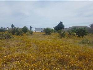 814 m² Land available in Myburgh Park