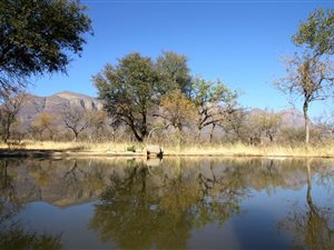 678 ha Farm in Hoedspruit