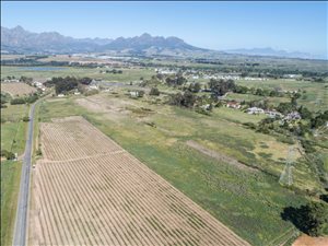 15 ha Farm in Stellenbosch Agricultural