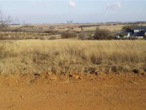 1 ha Farm in Rietvlei View