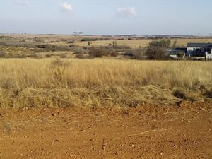 1 ha Farm in Rietvlei View
