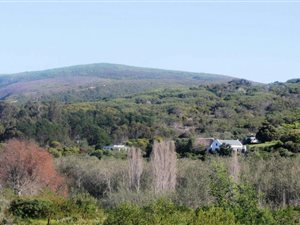 34 ha Farm in Stanford