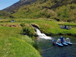 542.7 ha Farm in Paarl
