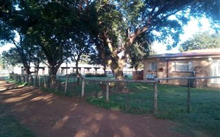 9.7 ha Farm in De Deur