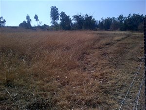 2.7 ha Land available in Mooi River