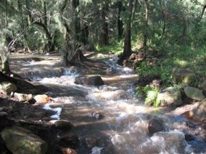 7 ha Farm in Waterval Boven